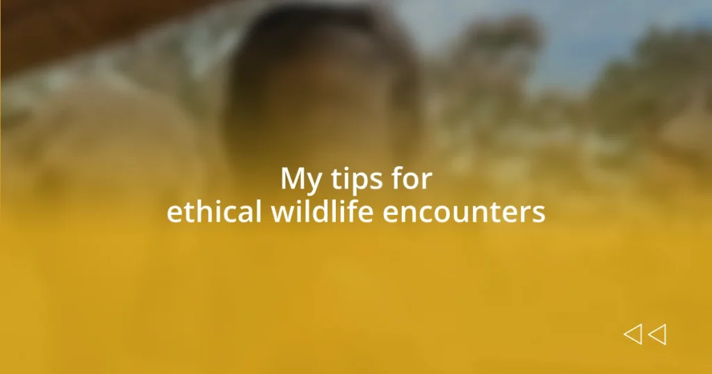 My tips for ethical wildlife encounters